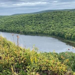 Meet your Posher, Juliann